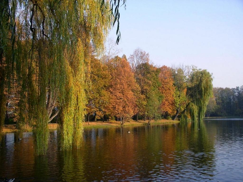Comfortbiznes Прушкув Экстерьер фото